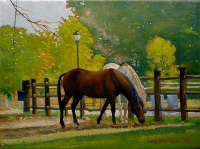 "Pastureland Shade" purchased by Mike Marvel